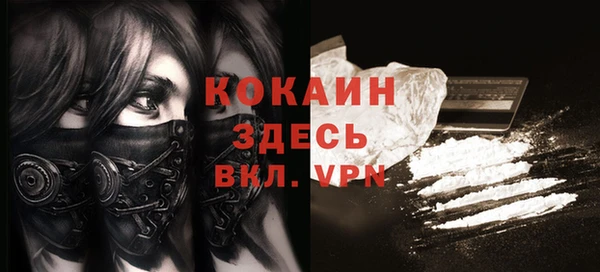 мдпв Осташков
