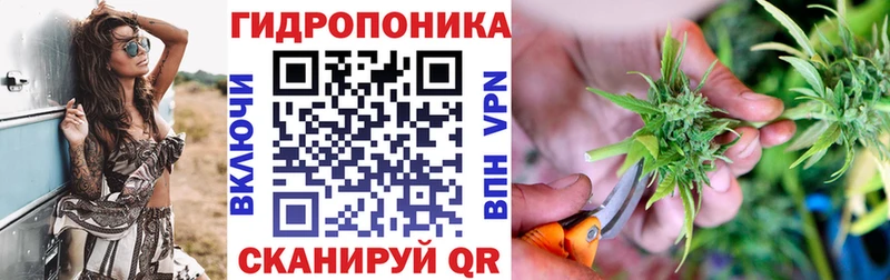 Каннабис Ganja  Павлово 